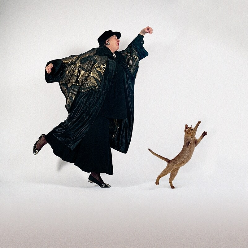 Image from Dancing with Cats by Burton Silver