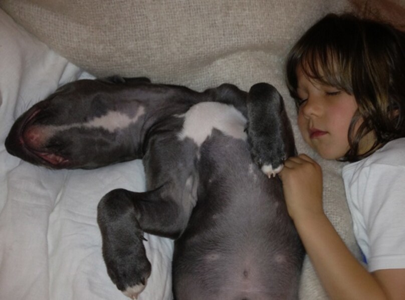 Reggie and Lux
