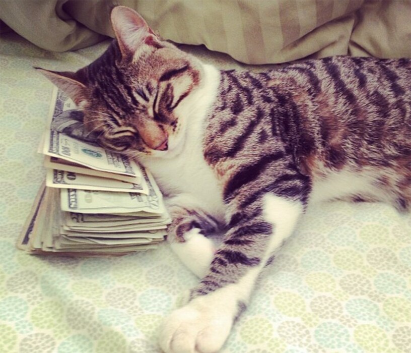 tumblr_nwwq4aQaRb1qgn992o1_1280