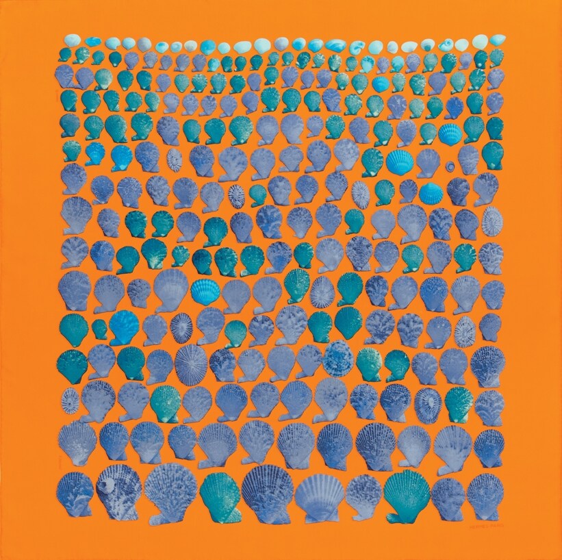 Herm&#232;s Scarf