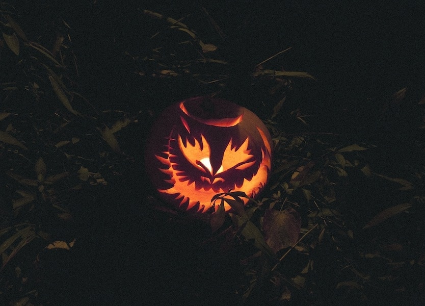 Pumpkin by Katie Shillingford