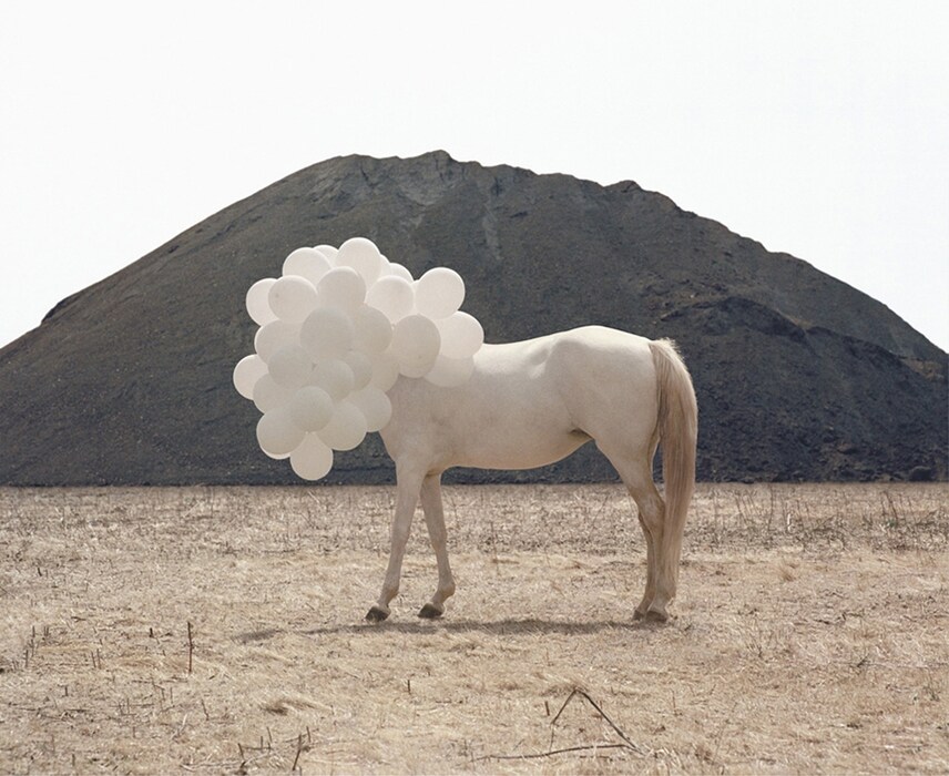 Andrea Galvani, Death of an image #5, 2005