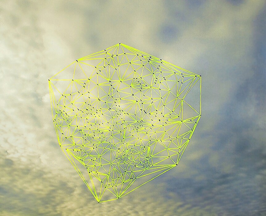 Catherine Ulitsky, Flocks, 2006
