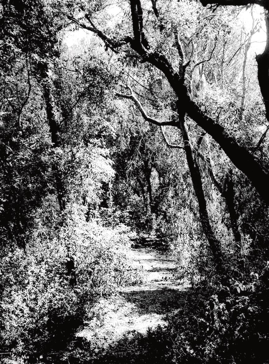 Pasolini’s Ostia for Another Man Winter/Spring 2026