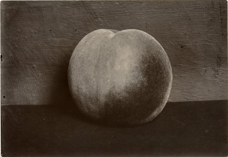 Charles Jones, Peach, Royal George, c. 1900