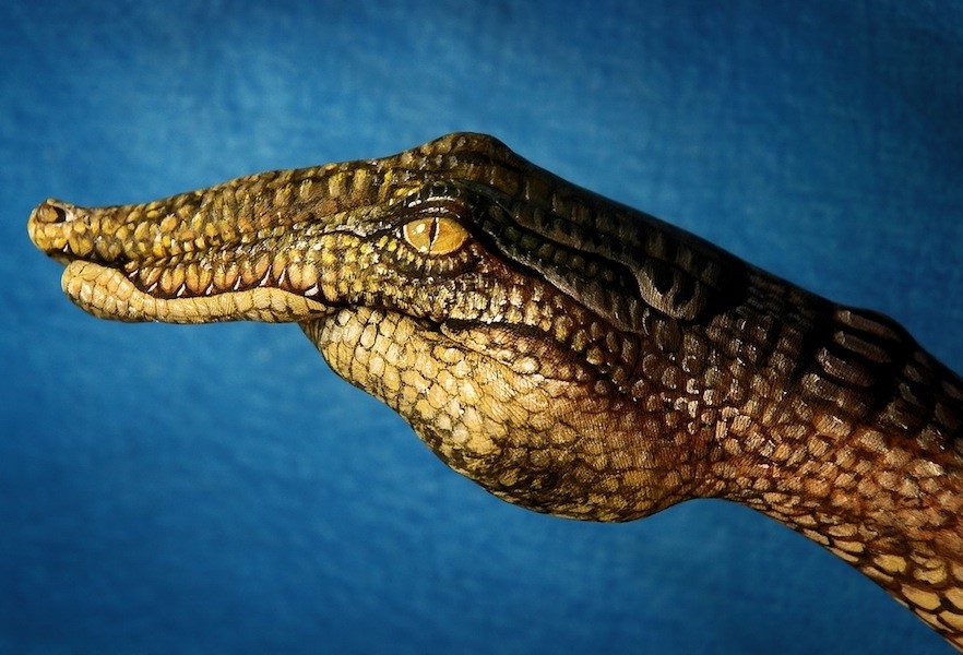 Crocodile by Guido Daniele