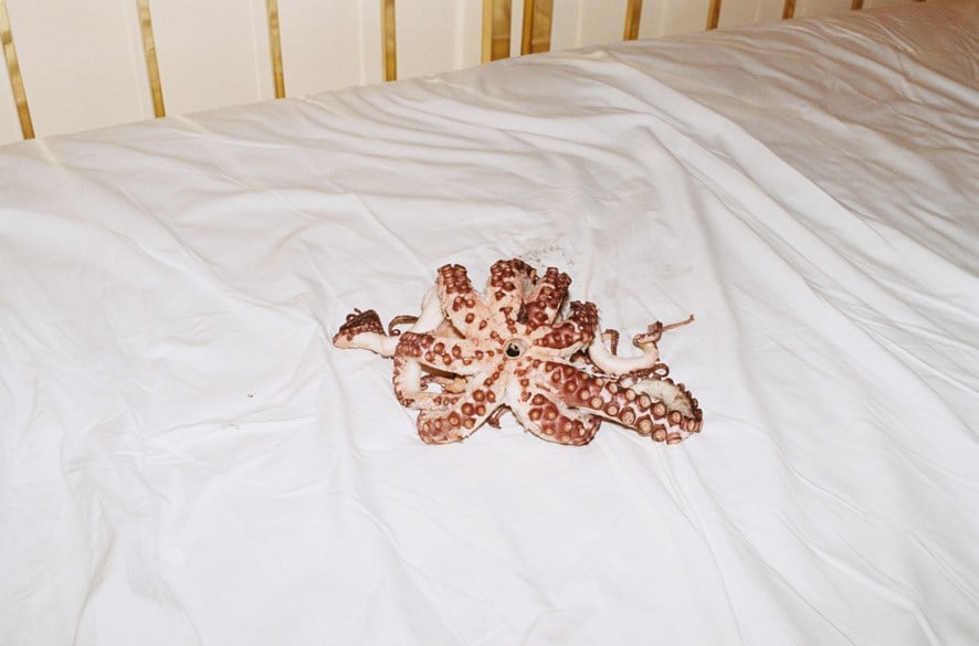 i need to live by Juergen Teller
