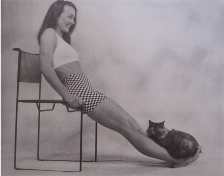 Catflexing by Stephanie Jackson