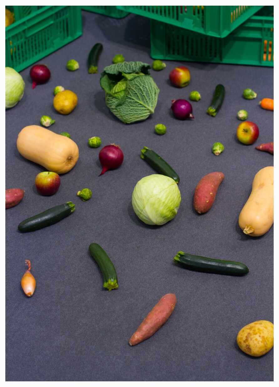 Frieze 2014