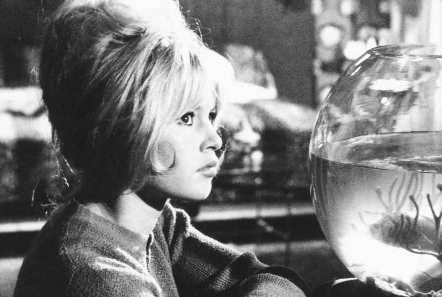 Brigitte Bardot