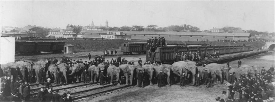 Ringling Brothers Circus, 1907 courtesy of the Library of Co