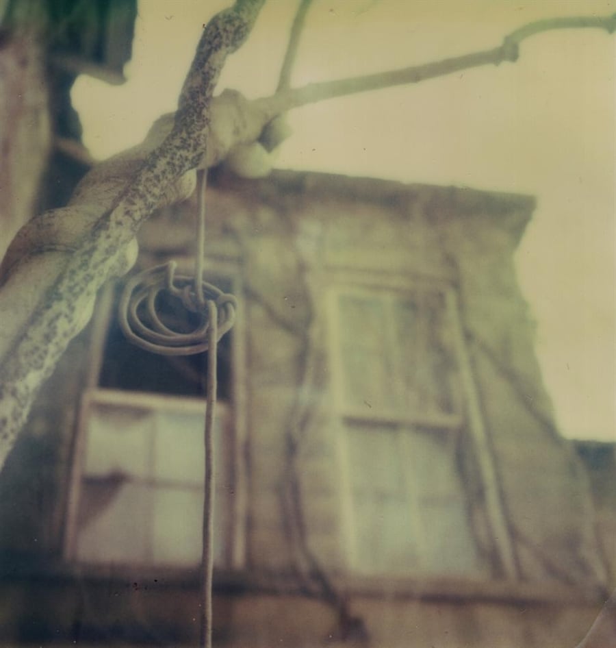 Photography by Alison Scarpulla, March 7 2009