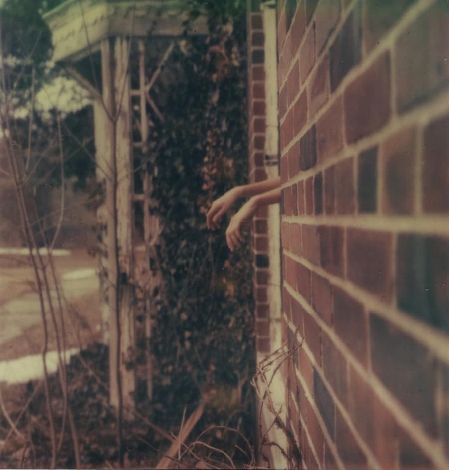 Photography by Alison Scarpulla, March 7 2009