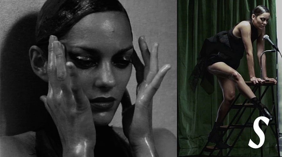 Marion Cotillard Still