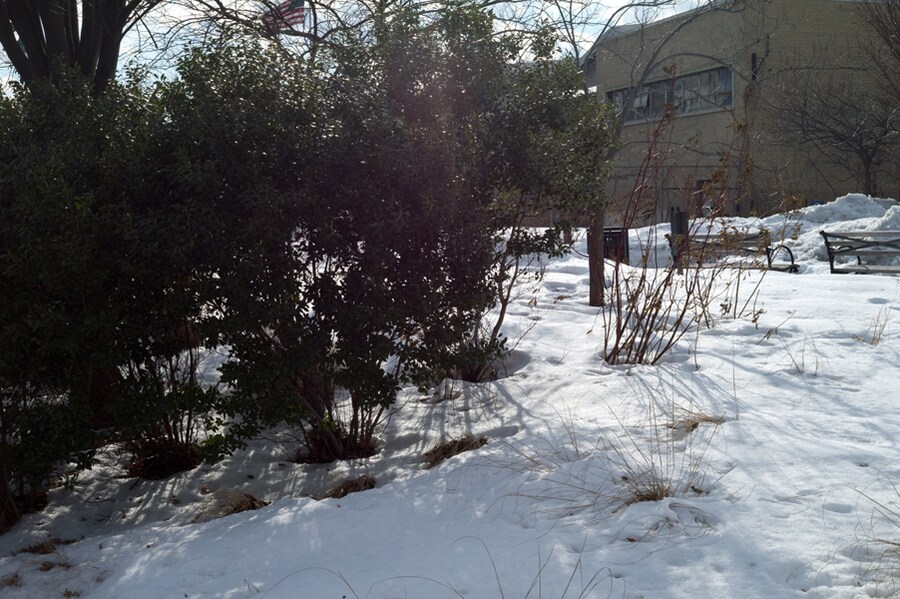 Alexander Wang A/W11 outside