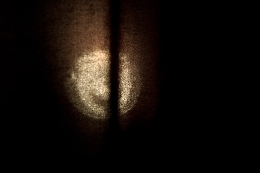 Alexandre Herchcovitch A/W11