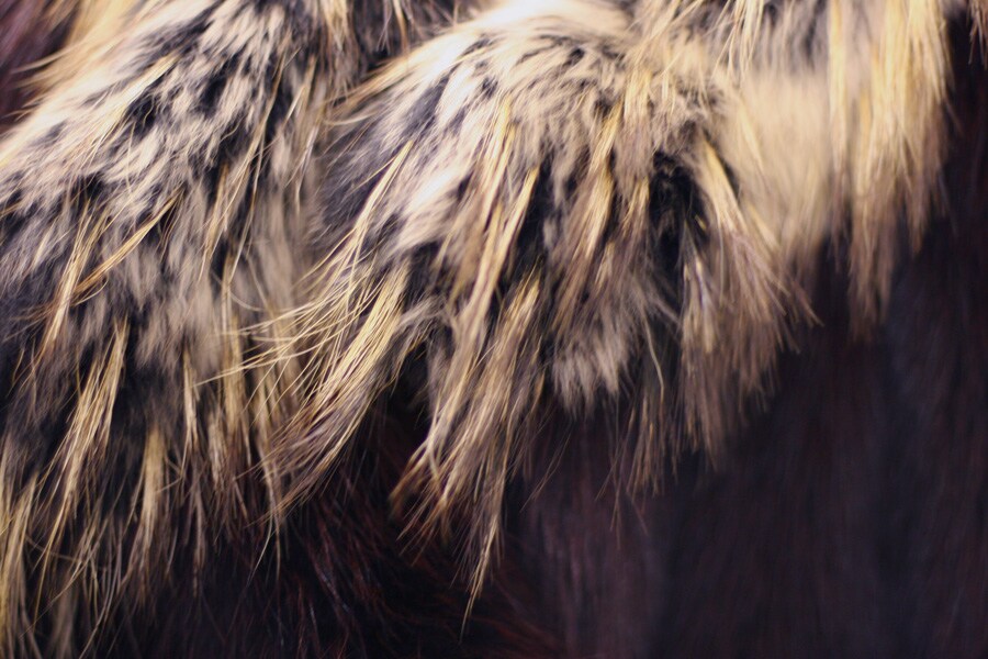 Pringle of Scotland A/W11