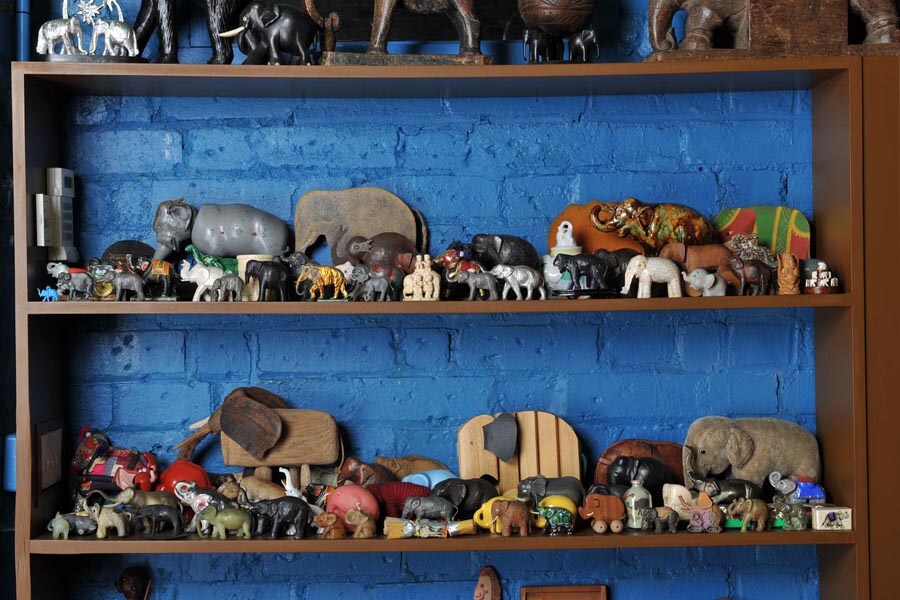 Elephants