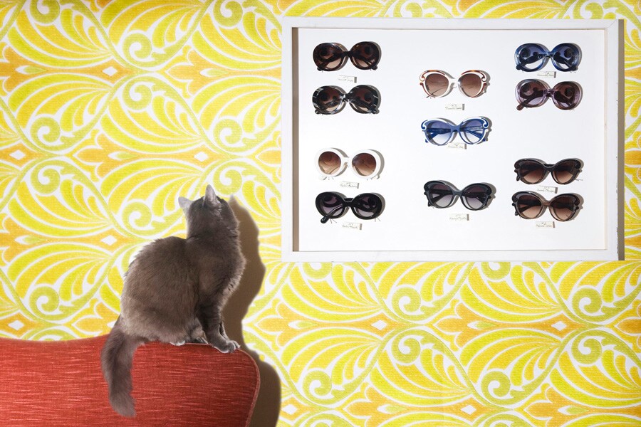 Prada Minimal Baroque Sunglasses