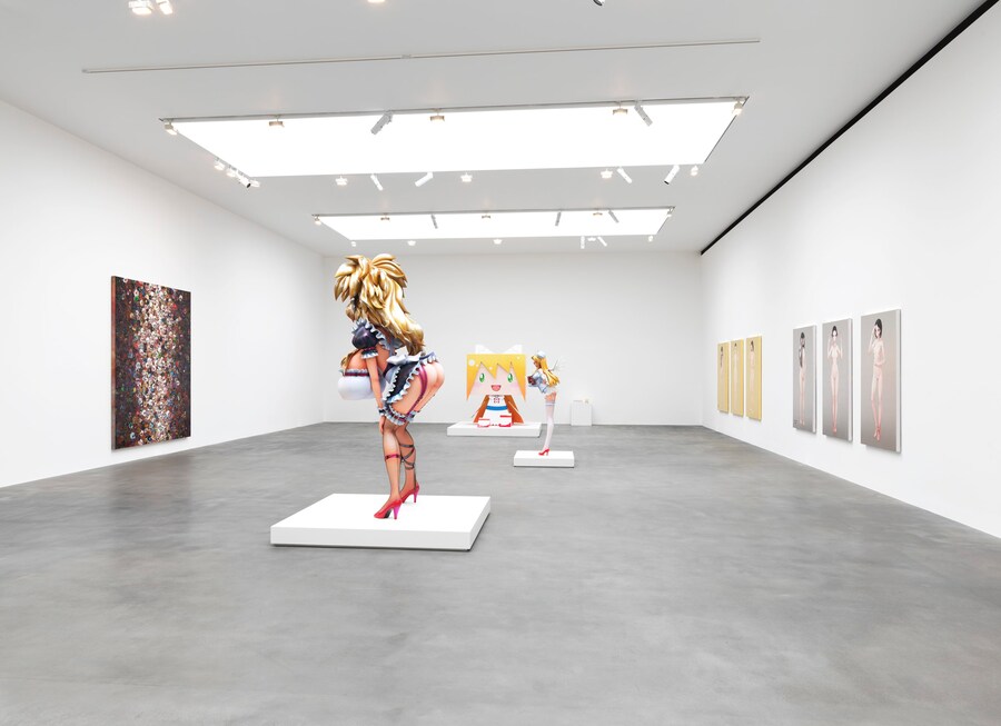 Takashi Murakami installation view