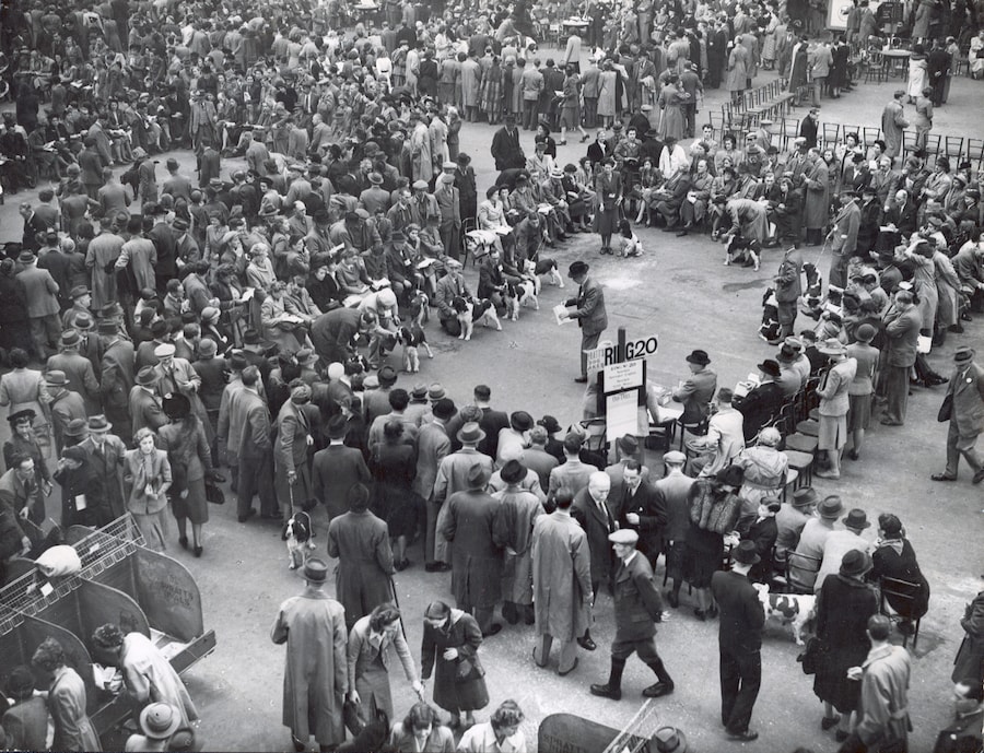 Crufts at Olympia, 1948