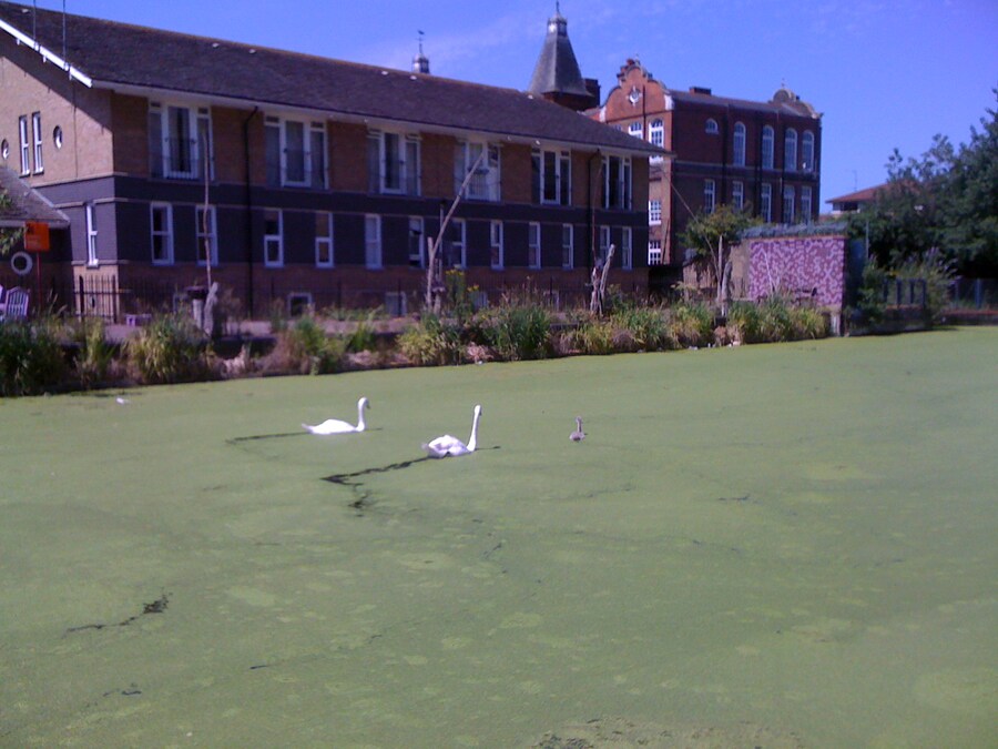 Zoe Maughan, AnOther&#39;s Photographic Editor