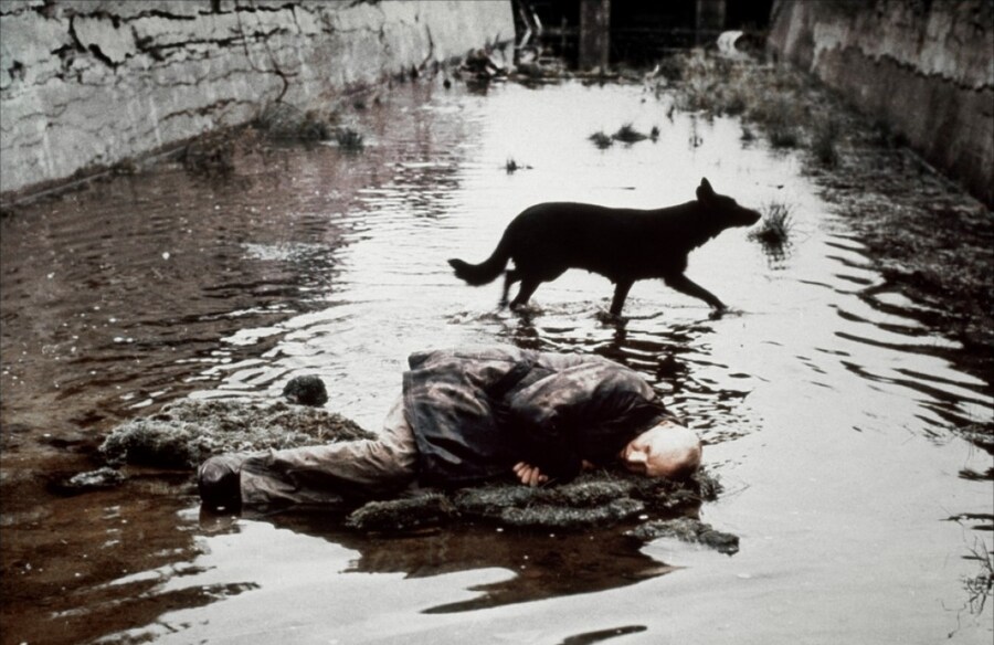 Still from &#39;Stalker&#39;, directed by Andrei Tarkovsky