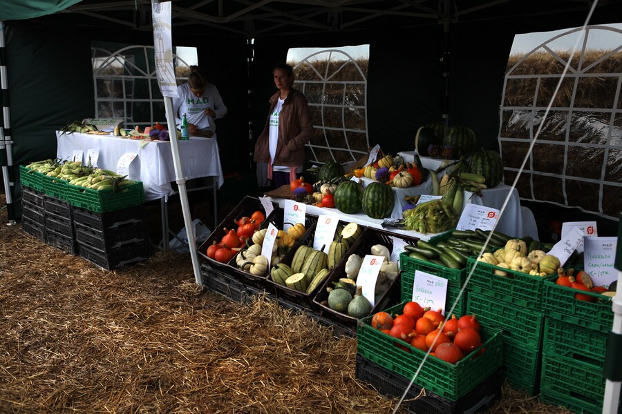 Squash Vendor at Mad Foodcamp, Copenhagen