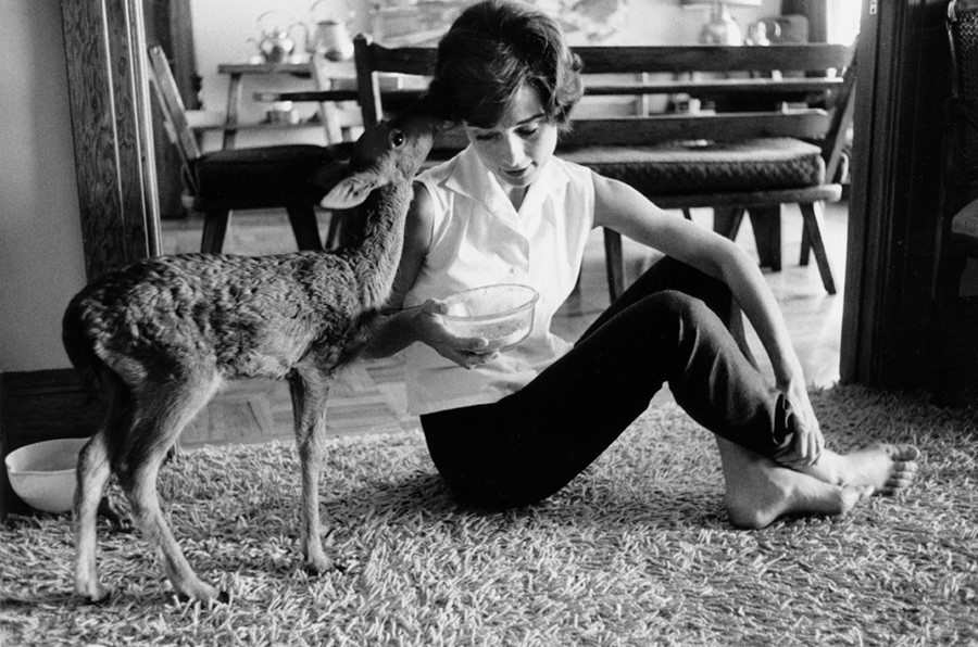 Audrey Hepburn with Ip, 1958