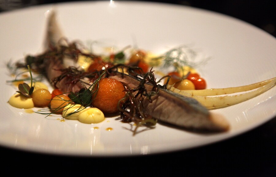 Fiskebaren mackerel
