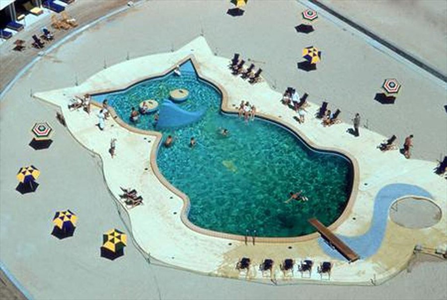 Cat-shaped pool