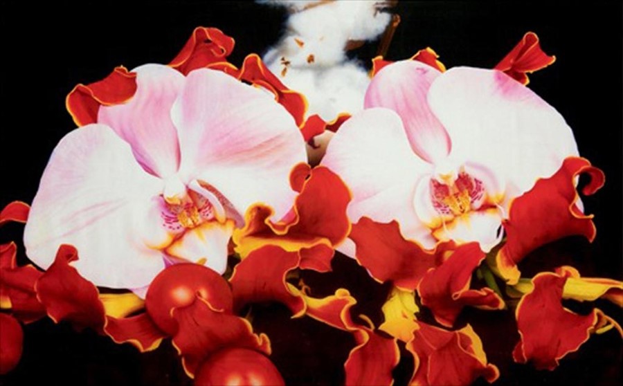 Orchid &#39;Under The Volcano&#39; Scarf by Marc Quinn