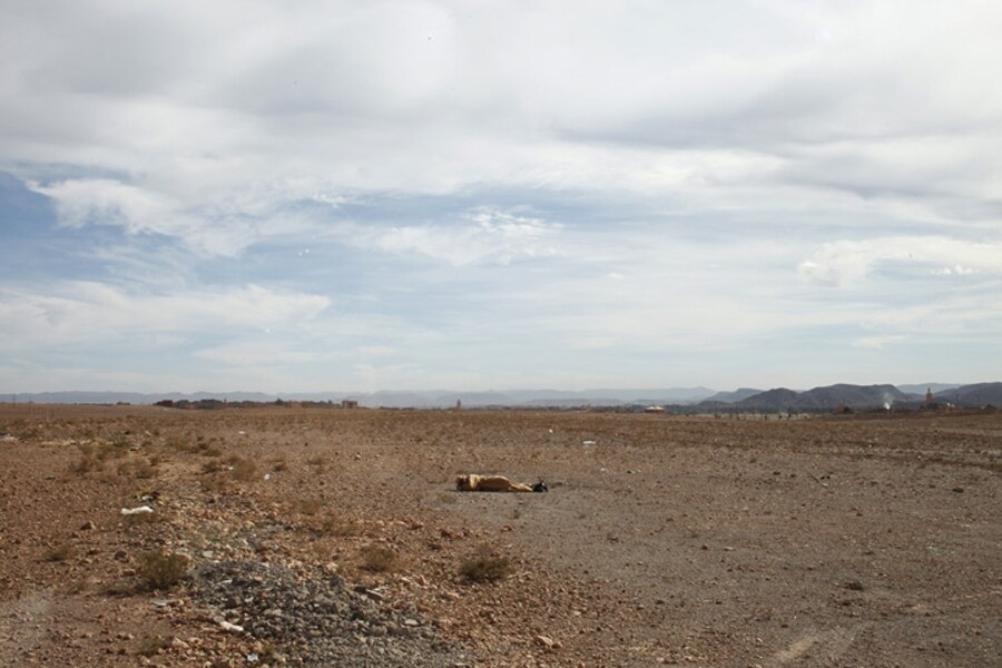 A Bedouin man takes a nap literally in the middle of the des