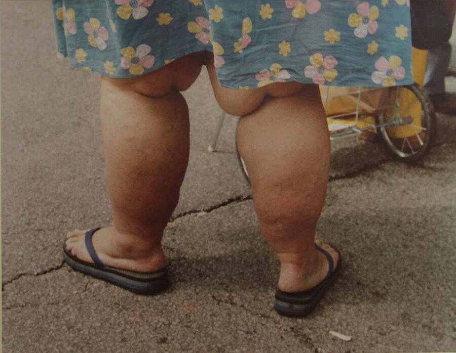 Untitled, Vivian Maier