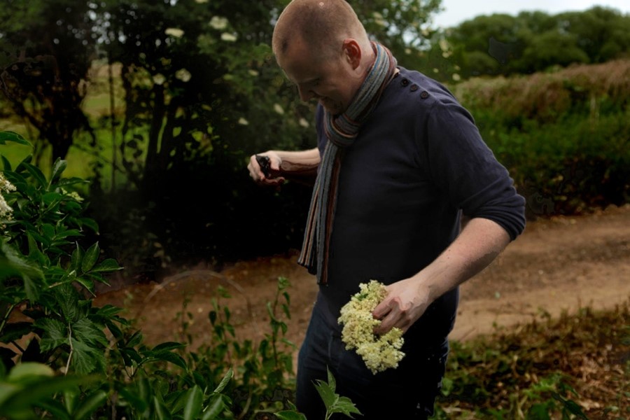 Chef Christoffer Hruskova foraging elderflowers