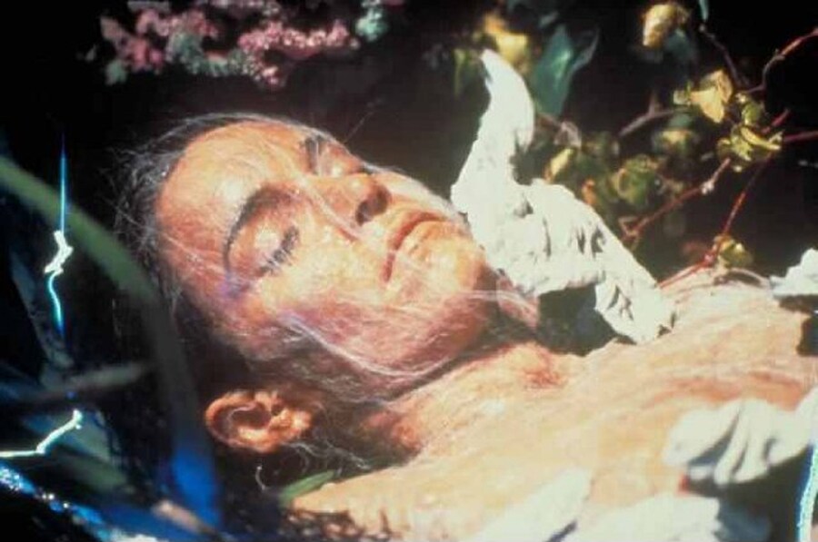 Brooke Adams in The Invasion of the Body Snatchers, 1978