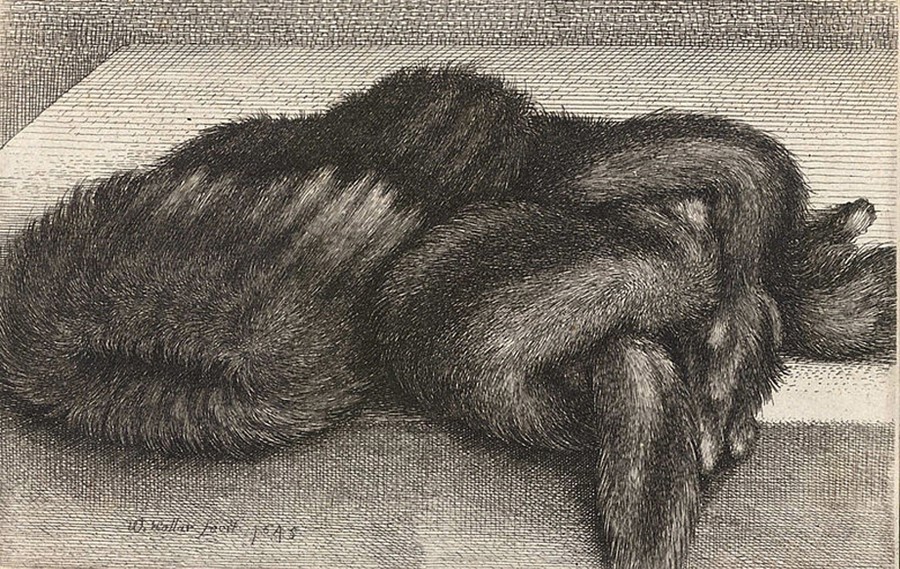 Wenceslaus Hollar&#39;s striped fur muff (State 2) etching