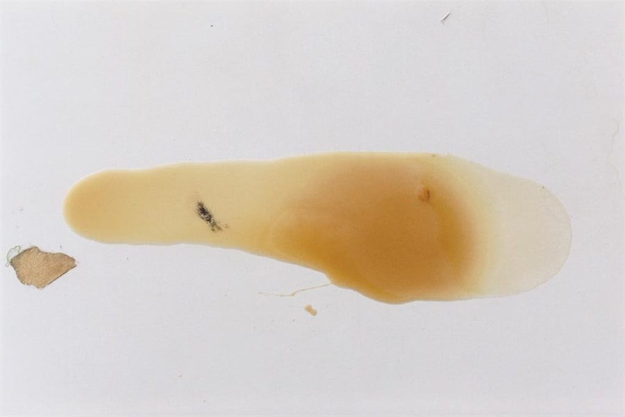 Photography by Anders Edstr&#246;m