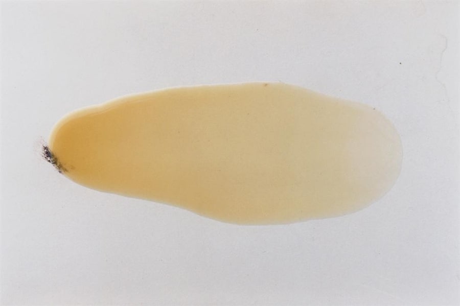 Photography by Anders Edstr&#246;m