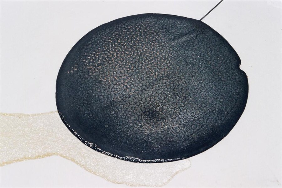 Photography by Anders Edstr&#246;m