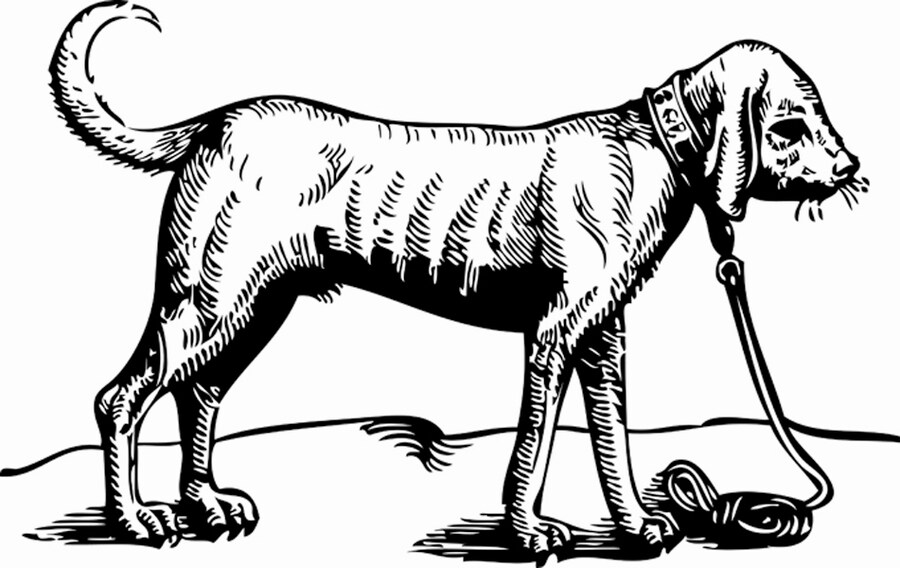 Liam Gillick, Scorpion or Felix