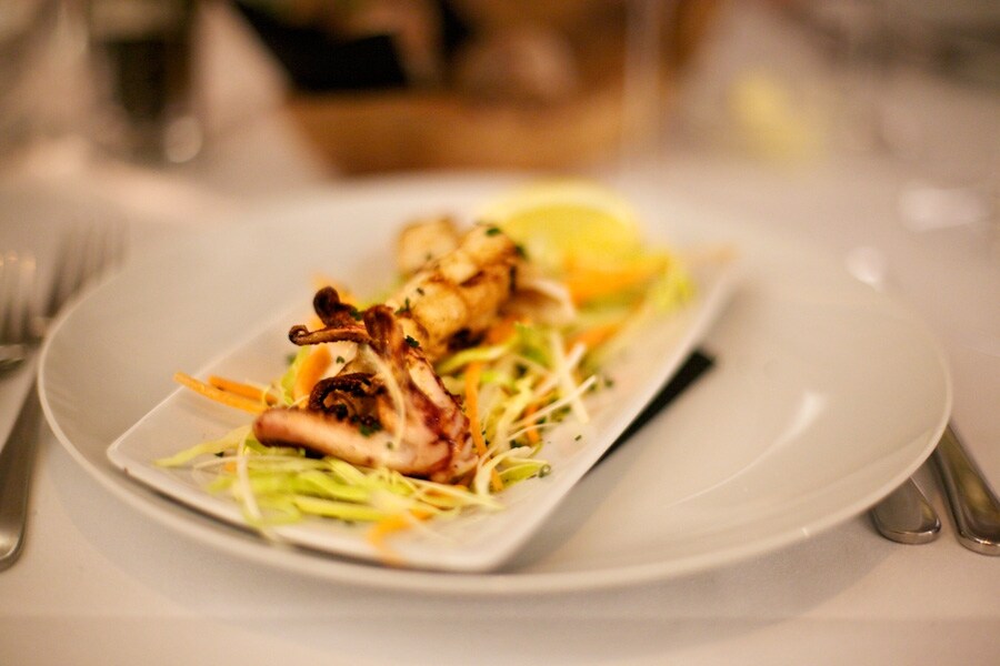 Grilled octopus