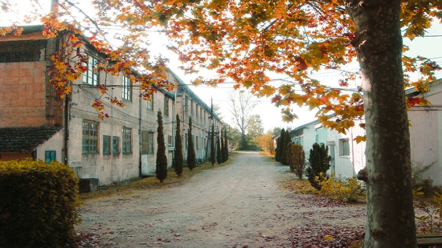 The Virebent atelier