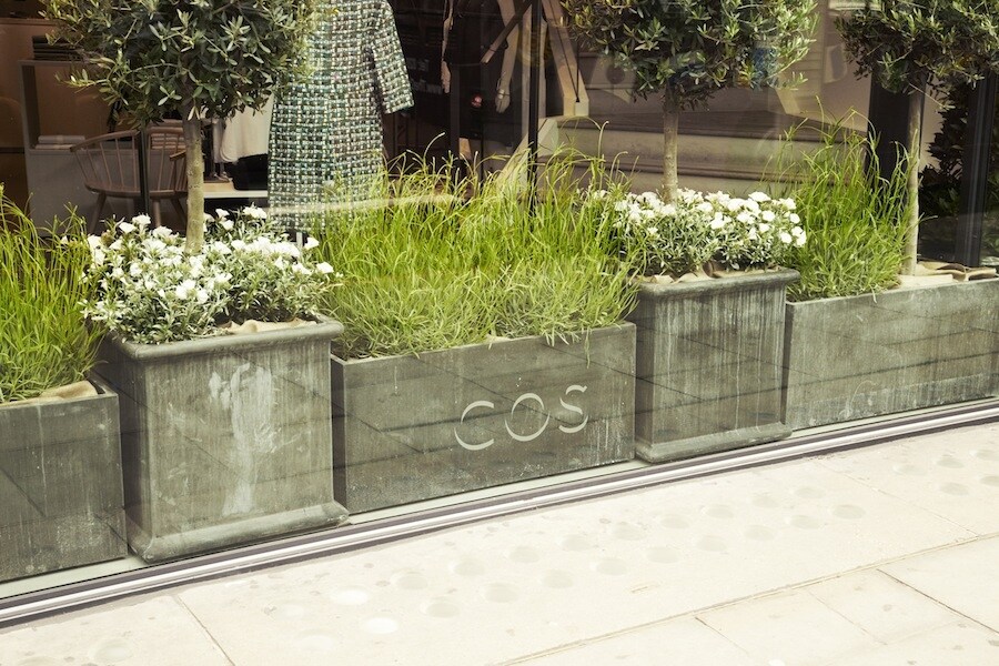 COS x Clifton Nurseries