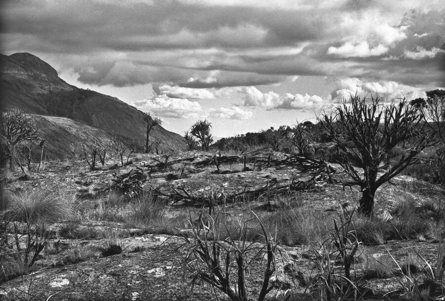 Richard Long, Circle in Africa, 1978