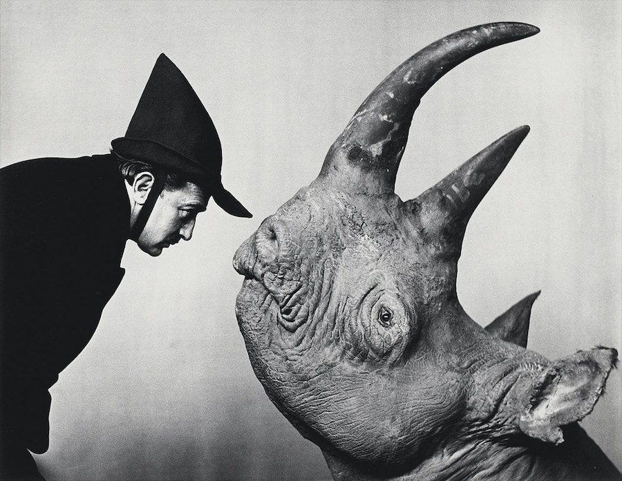 Philippe Halsman, Dali and the rhinoceros, 1981