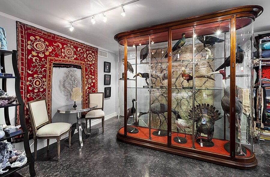 Creel and Gow interior