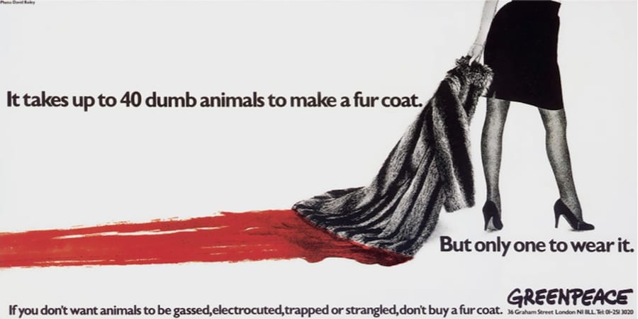Greenpeace, 1985