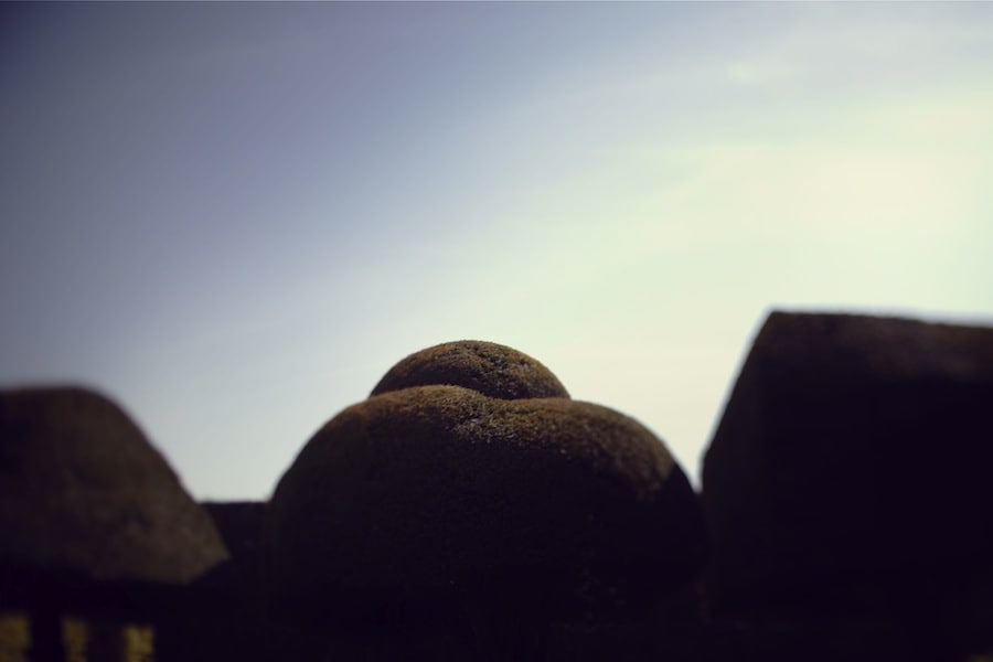 Topiary