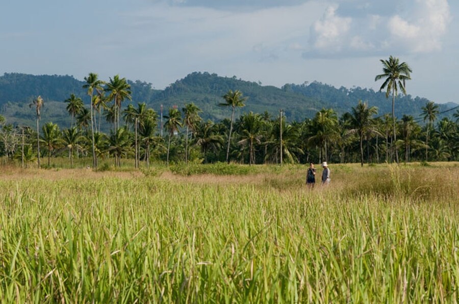 Still from Hi-So